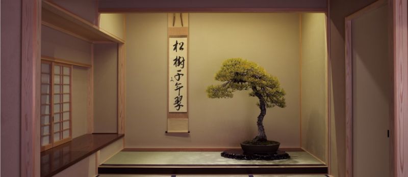 Omiya_Bonsai